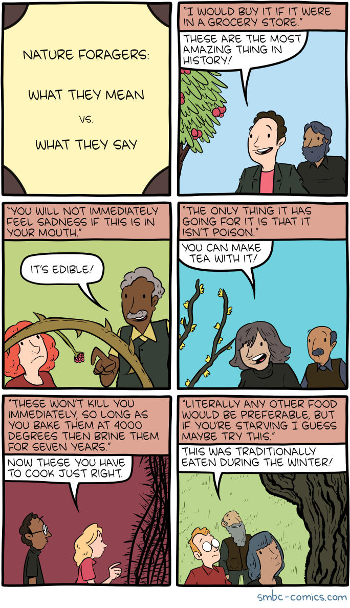 smbc comic