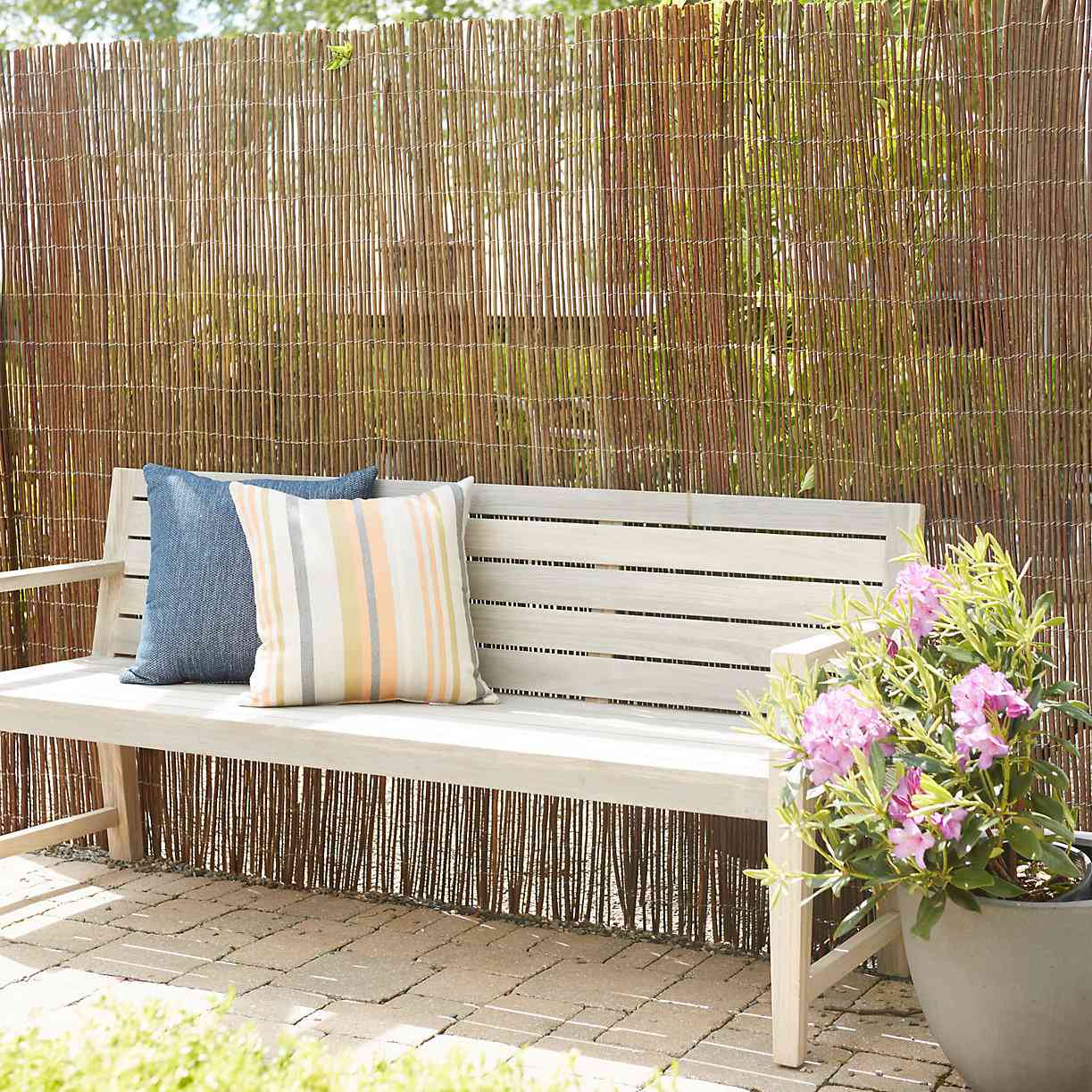 backyard privacy ideas on a budget