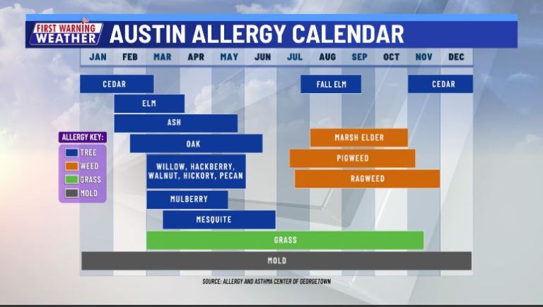 allegy forecast