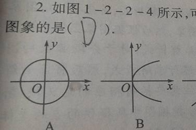 函数 英文