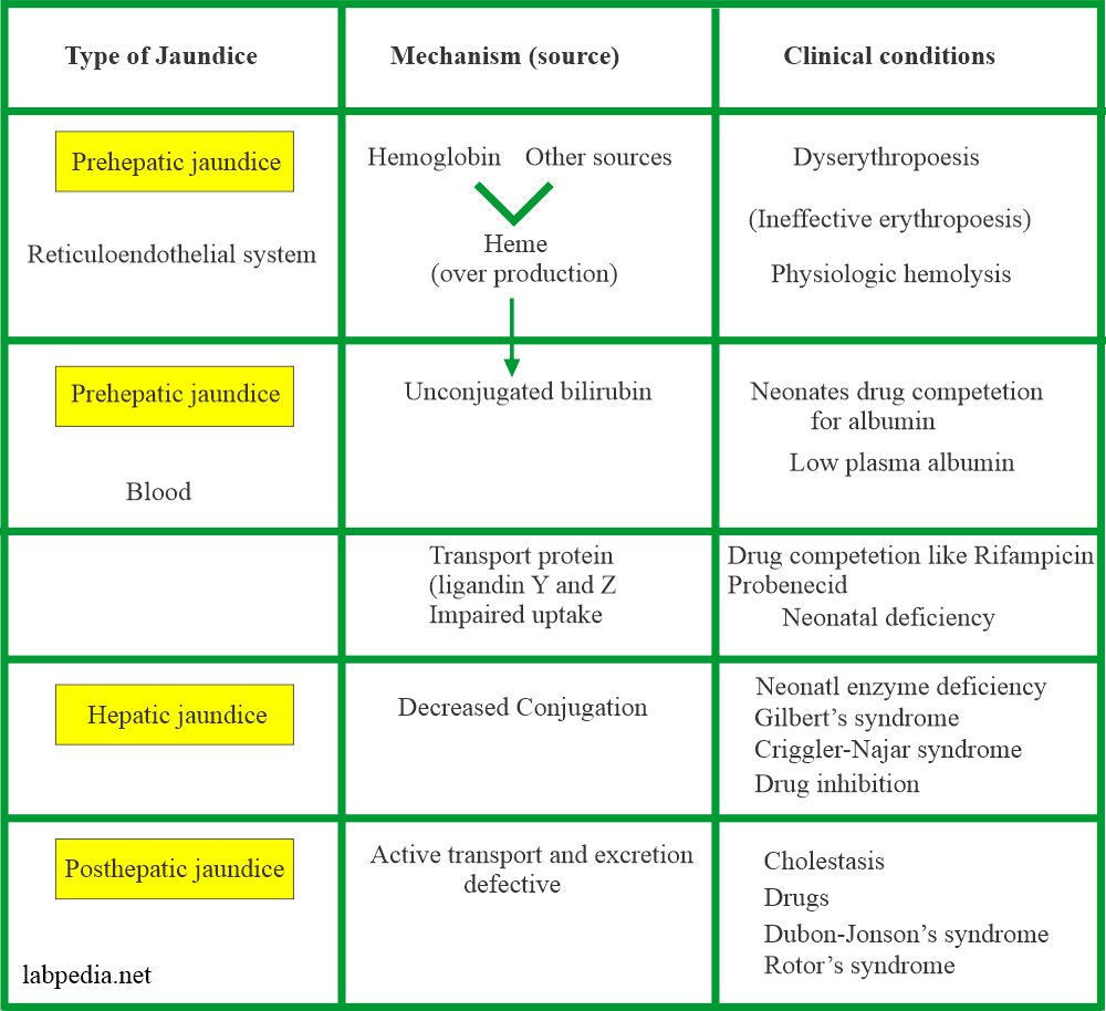 is 2.2 bilirubin dangerous