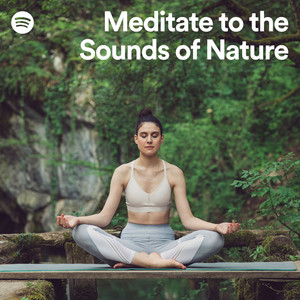 spotify meditation