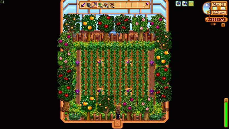 stardew best greenhouse crop