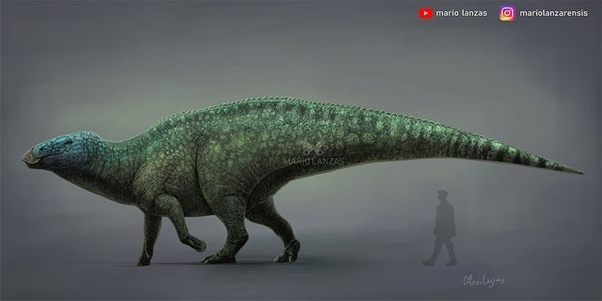 shantungosaurus vs t rex size