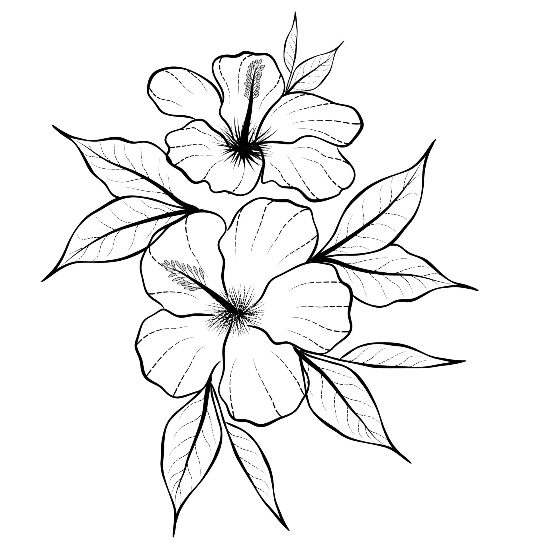 flower line drawing