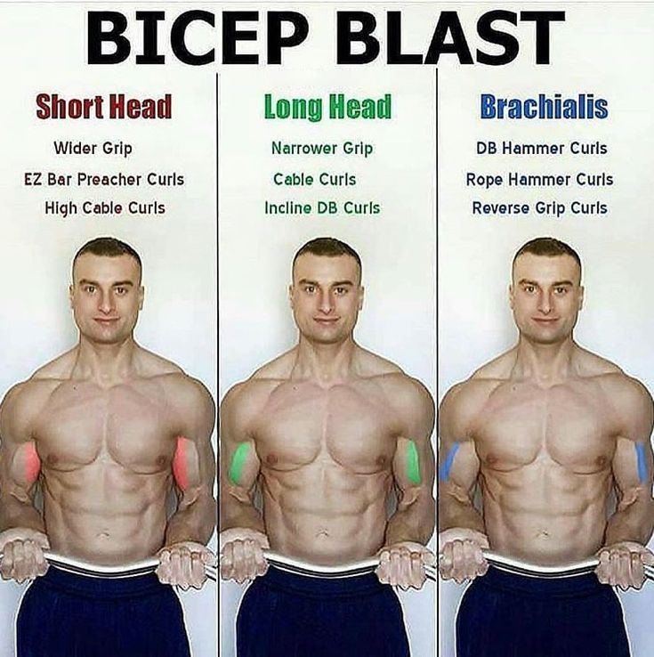 short head bicep workout