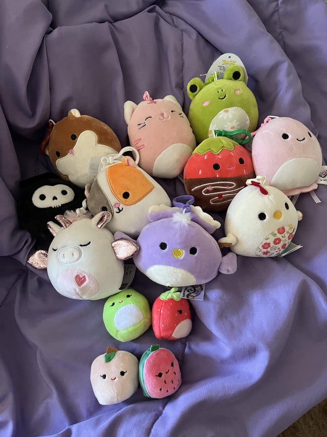 reddit squishmallow