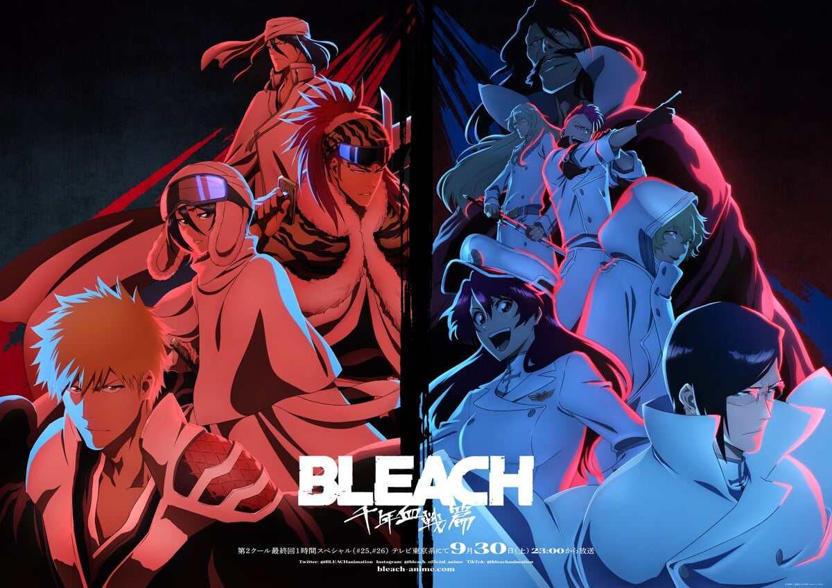 bleach tybw