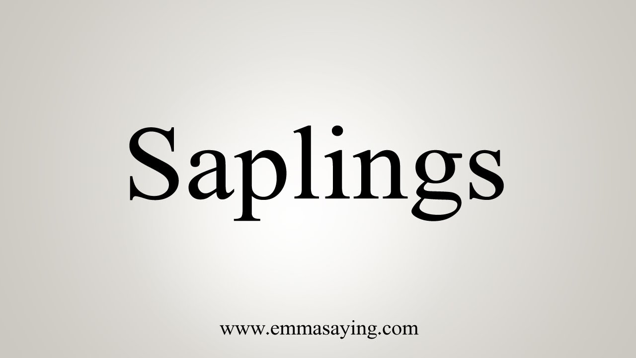 sapling pronunciation