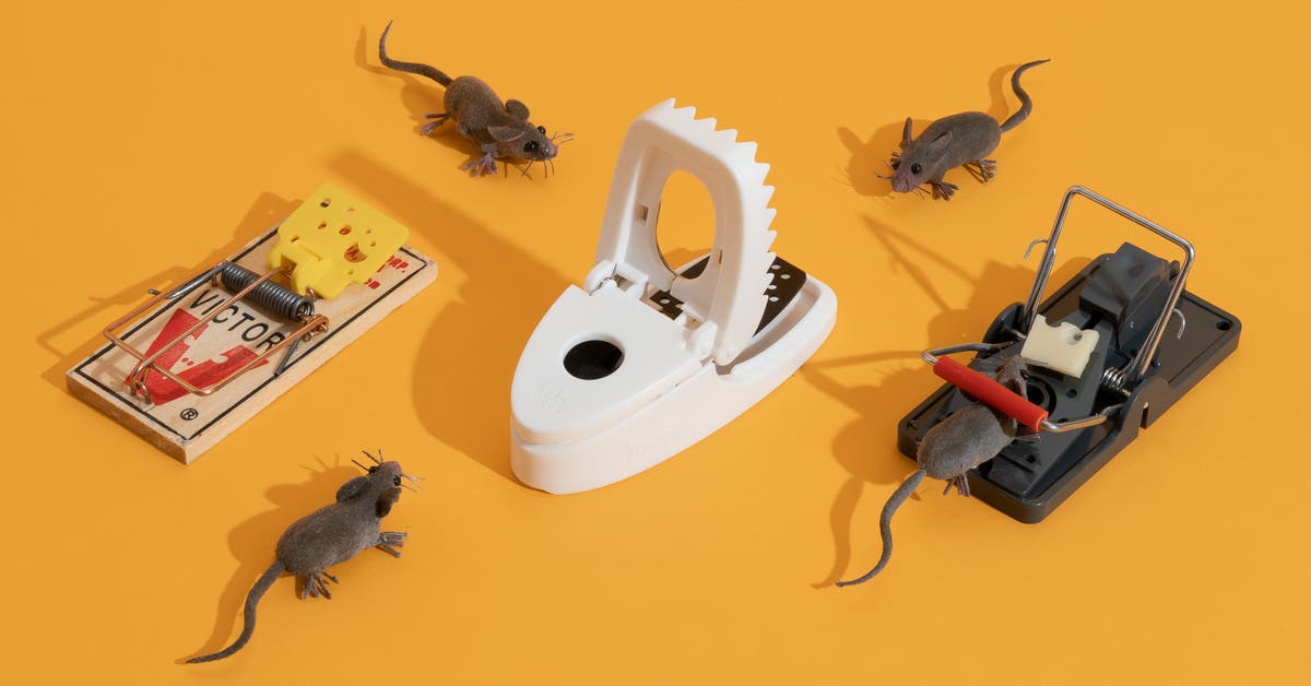 best house mouse traps