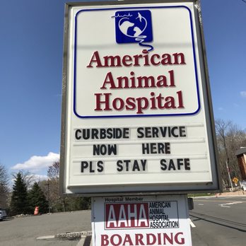 american animal hospital randolph nj