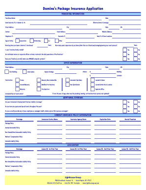 dominos job application