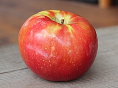 apple wikipedia