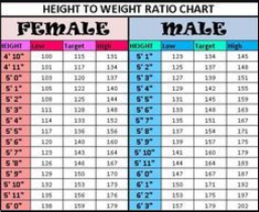 5 11 male average weight