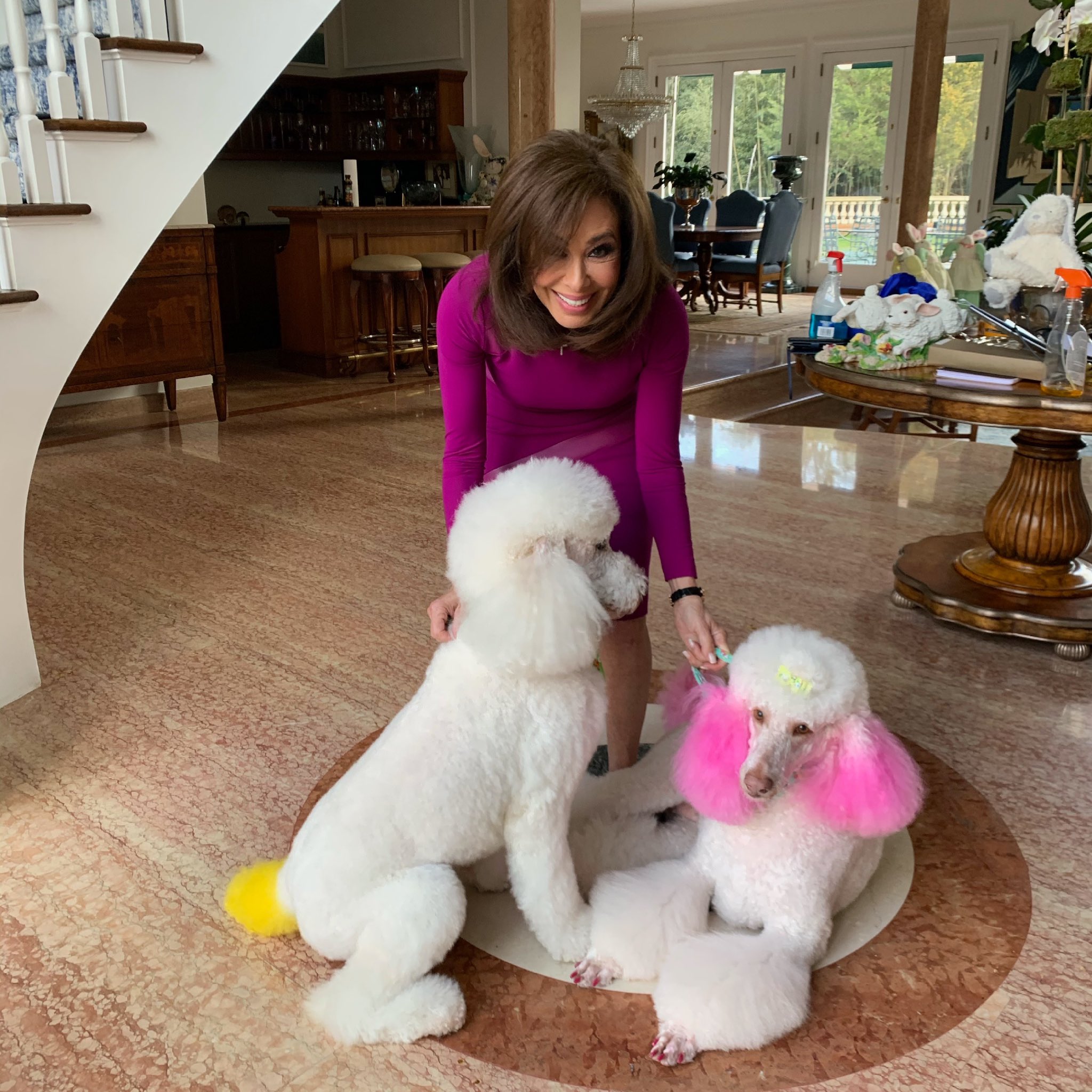 judge jeanine poodles