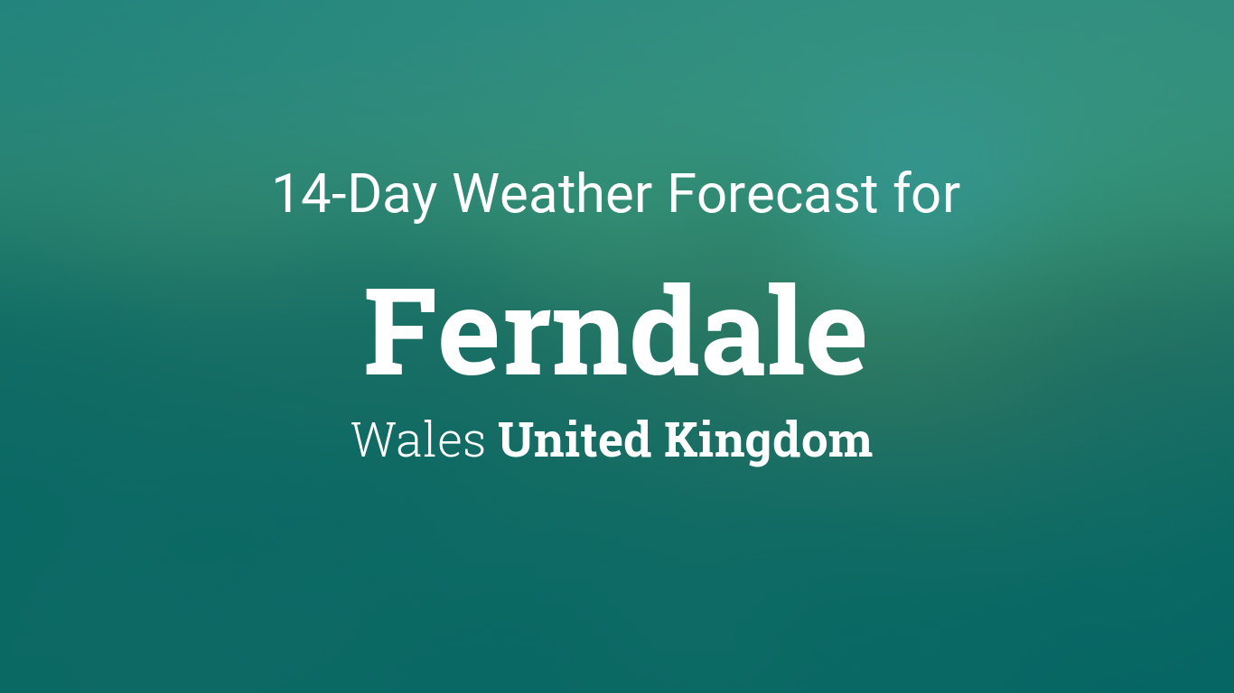 weather ferndale