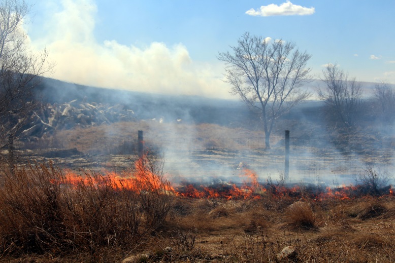 cypress hills fire ban