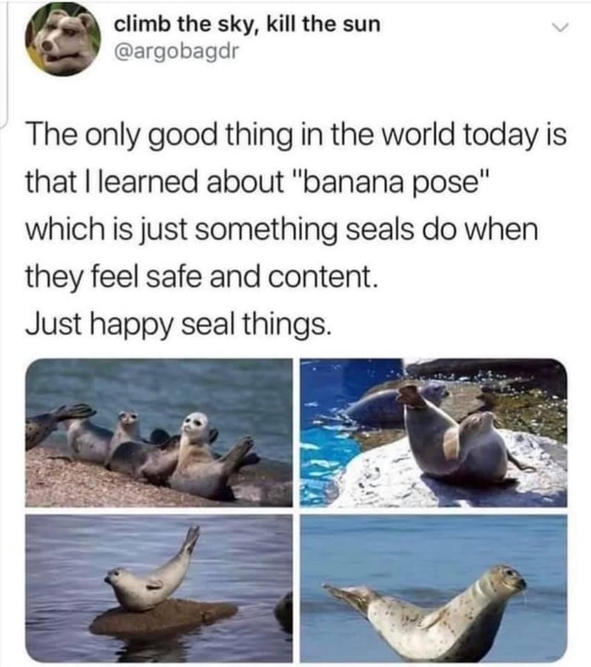 banana pose seals