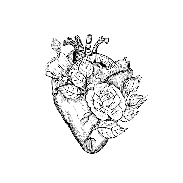 corazon tatuaje dibujo