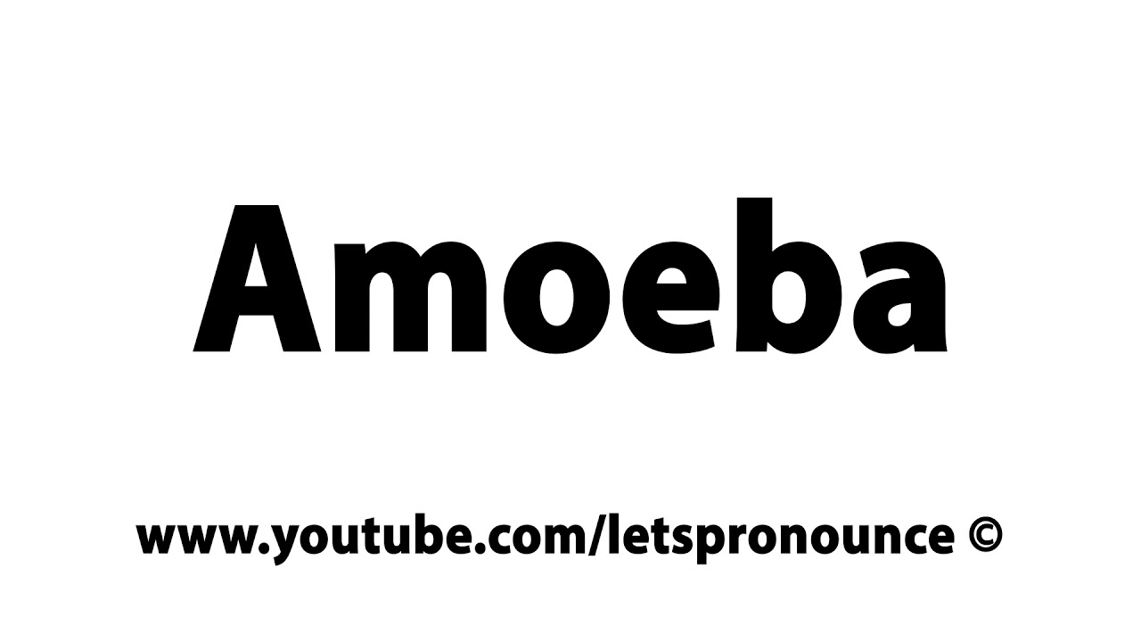 amoeba pronounce