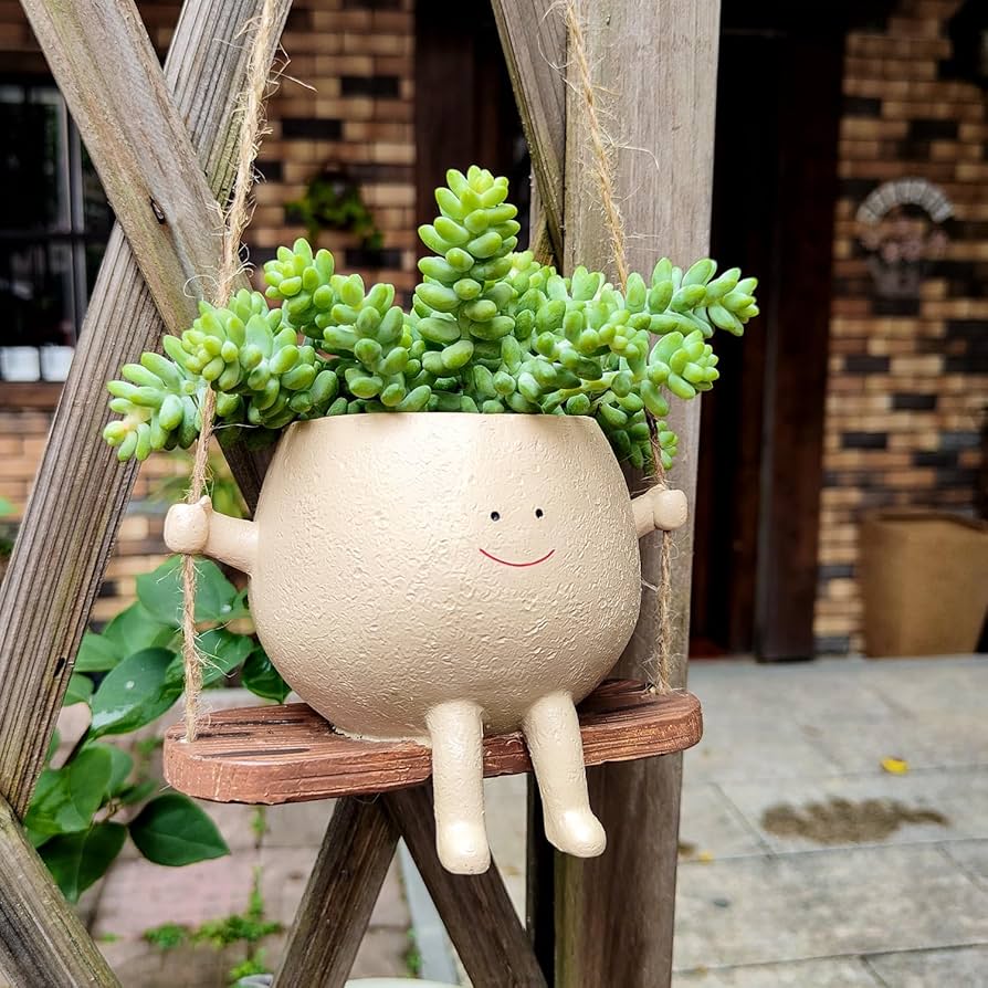 amazon planters