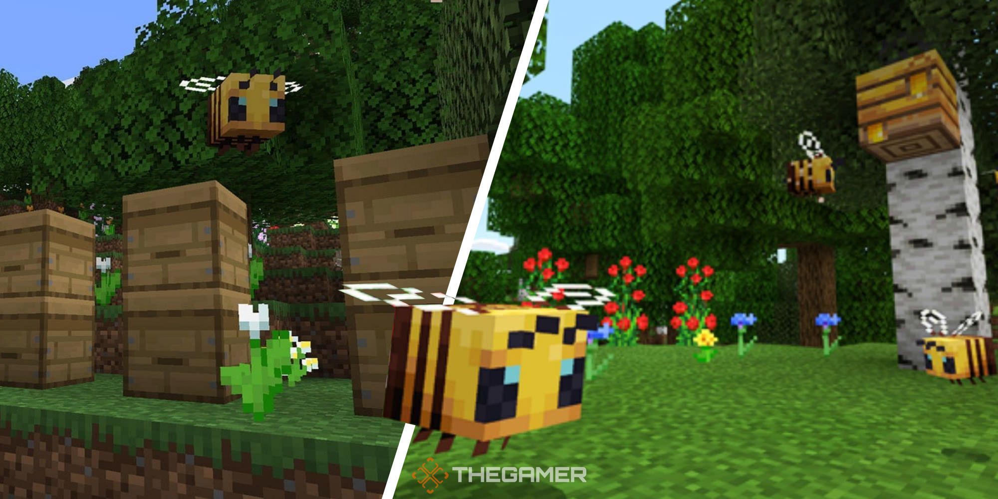 honey farm minecraft