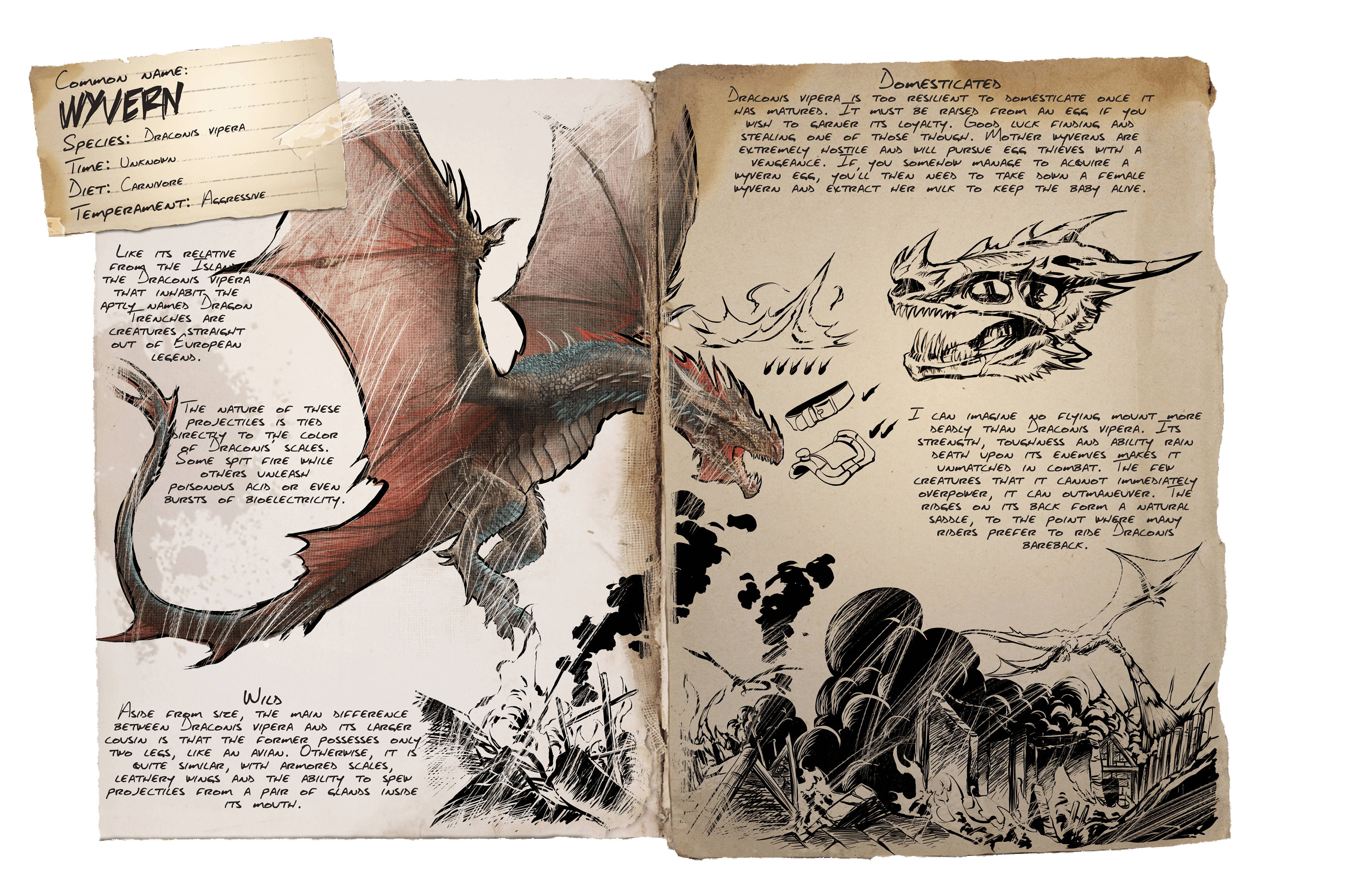 ark wyverns