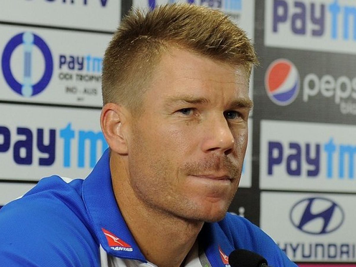 david warner hairstyle