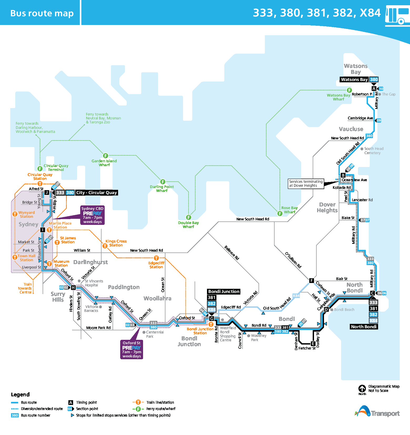 333 bus route sydney