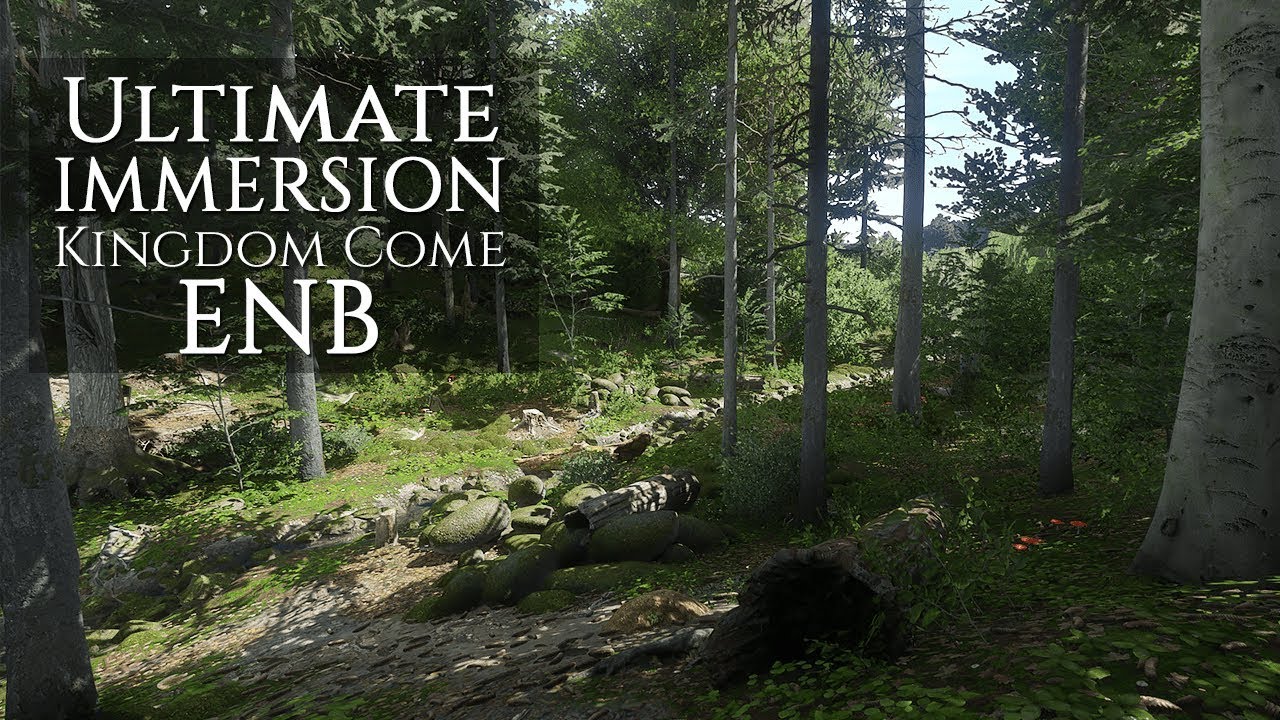 kingdom come deliverance enb