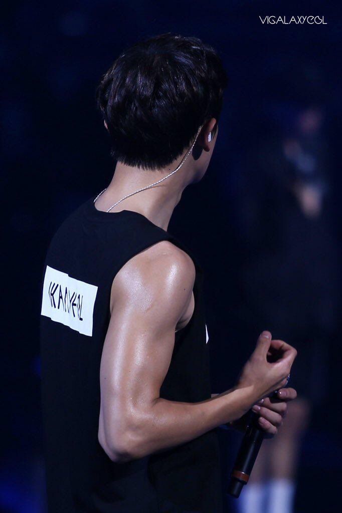 chanyeol arms