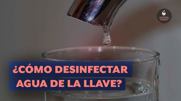 tap water traducción