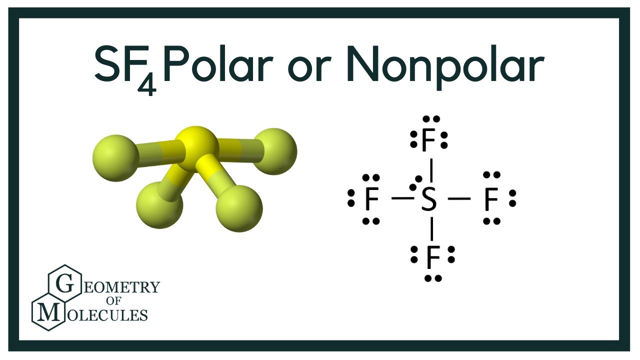 is sf4 a polar molecule