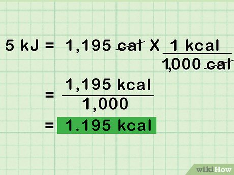 600 kj in calories