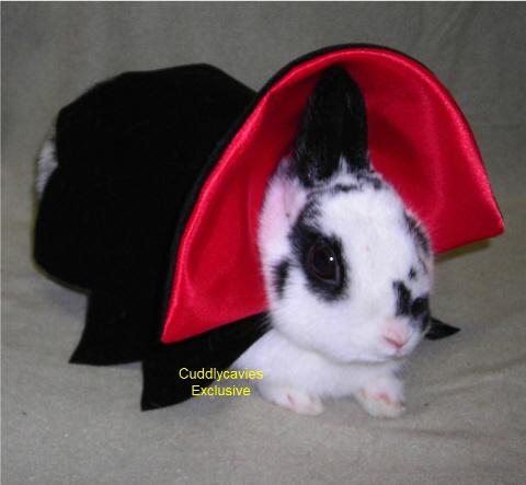 bunny in halloween costume