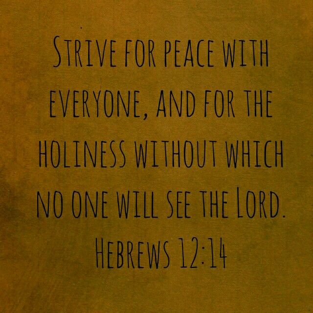 hebrews 12 esv