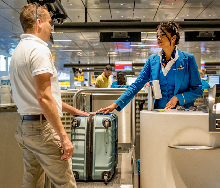 klm check in luggage