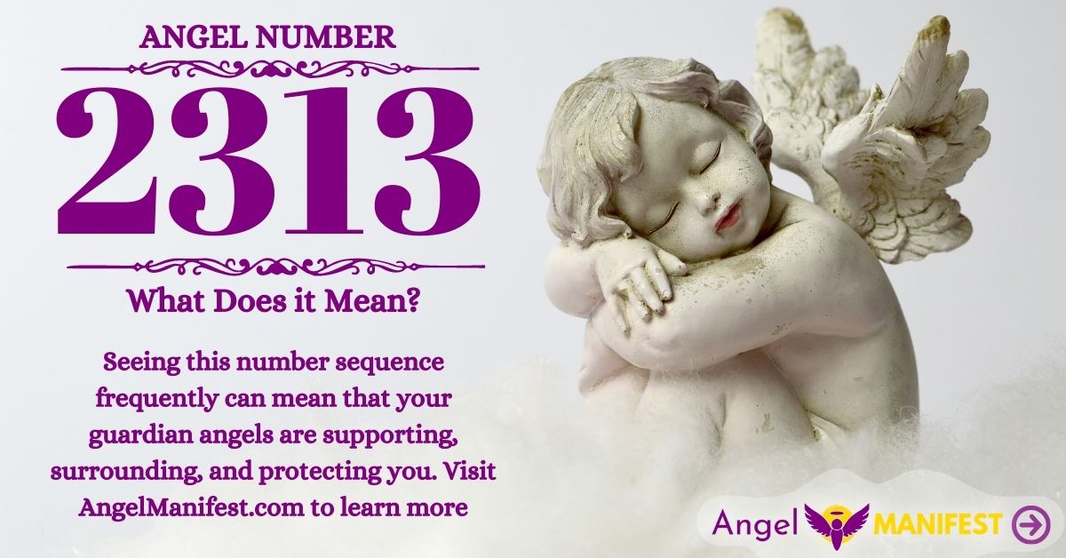 2313 angel number