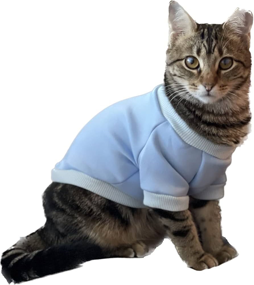 cat clothes amazon