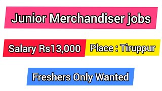 junior merchandiser salary