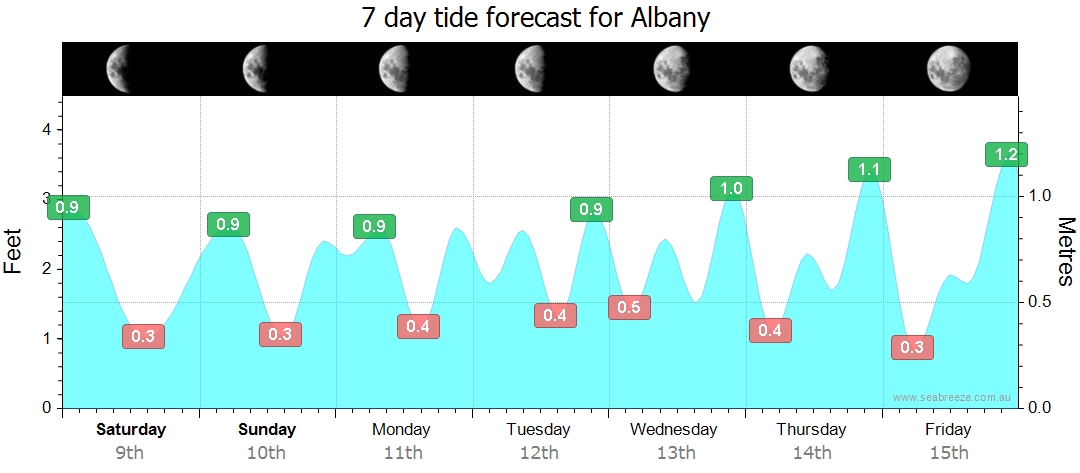 albany tides