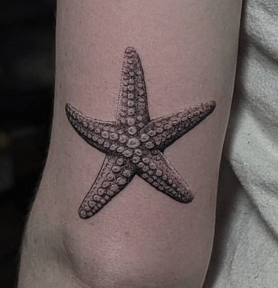 starfish tattoo