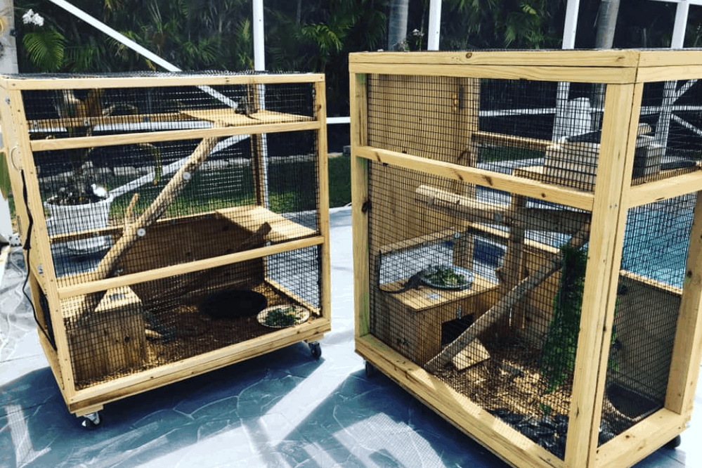 diy iguana enclosure