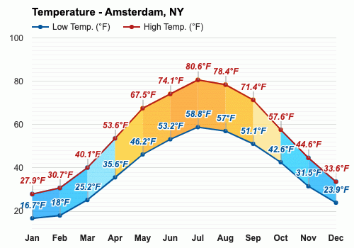 amsterdam ny weather