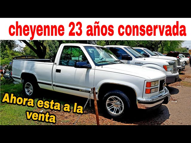 cheyenes en venta