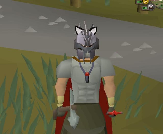 osrs cat ears