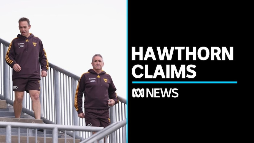 hawthorn racism review