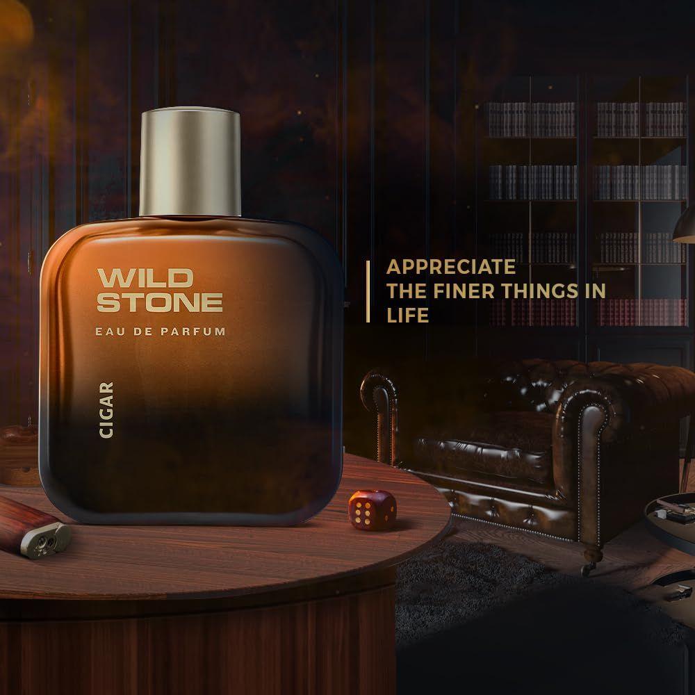 wild stone perfume price 100ml