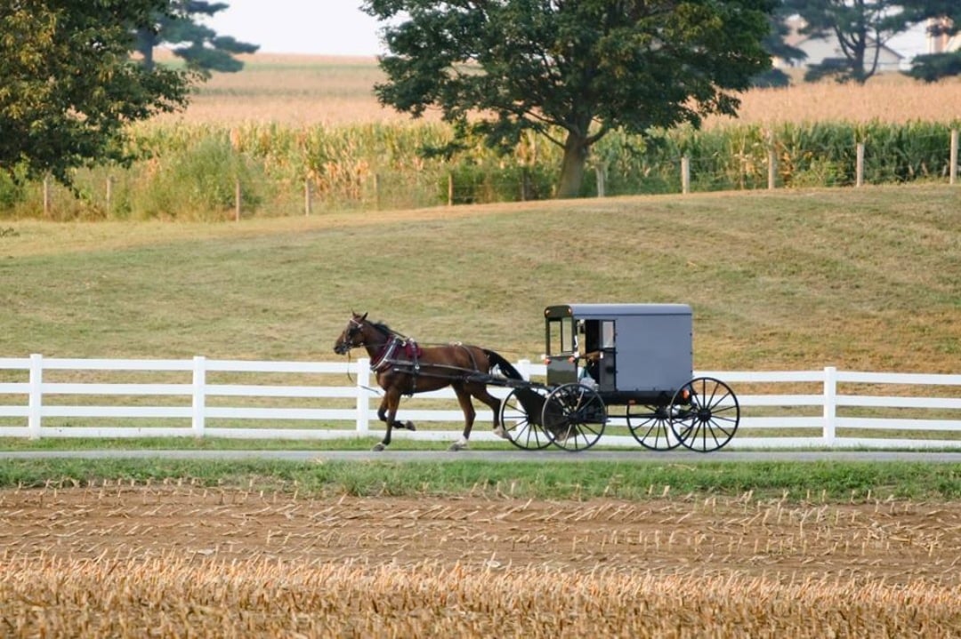 amish oil change