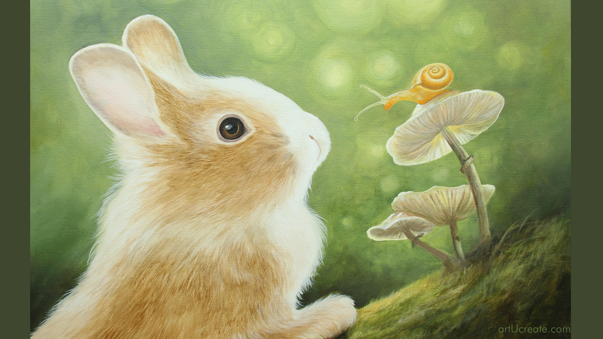 rabbit painting images